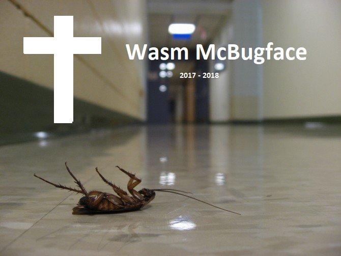 Dam bug killers Project Zero destroyed our first potential pwn2own Apple Safari exploit candidate recently! :) Obituary for it and sweet exploit overview: labs.mwrinfosecurity.com/assets/BlogFil…. Full sploit code to follow at end of this week! By <a href="/alexjplaskett/">Alex Plaskett</a> <a href="/pwnfl4k3s/">pwnfl4k3s</a> <a href="/munmap/">G. Geshev</a>