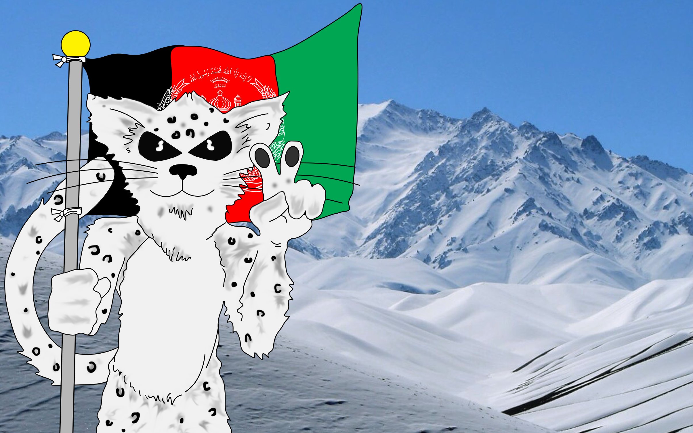 駐日アフガニスタン大使館 Afghanistan Embassy In Tokyo 次はパシュさん なんでも知りたがりやの ターバンです あなたの頭に乗せたら 多分使っているシャンプーまでも知りたくなるよ 僕も知りたいさ T Co Bgqptz8zdt Twitter