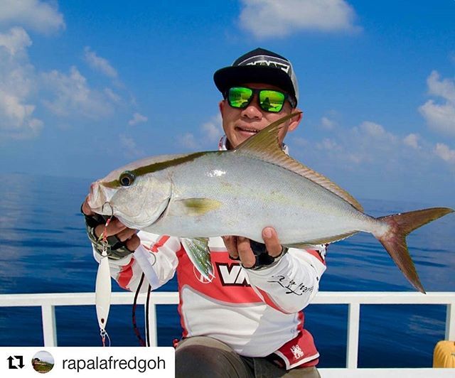 vmchooks's tweet photo. #Repost @rapalafredgoh ・・・
Pretty small Almaco Jack on the Koika OZ 200g #gomoku #stormlures #vmc #vmchooks #almacojack #slowjigging https://t.co/ffJQO38JCb https://t.co/dGehEqAODw