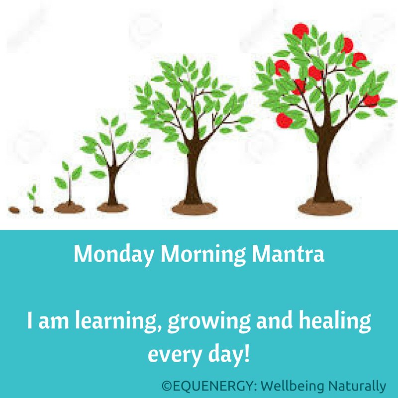 Wellbeing Naturally tweet media