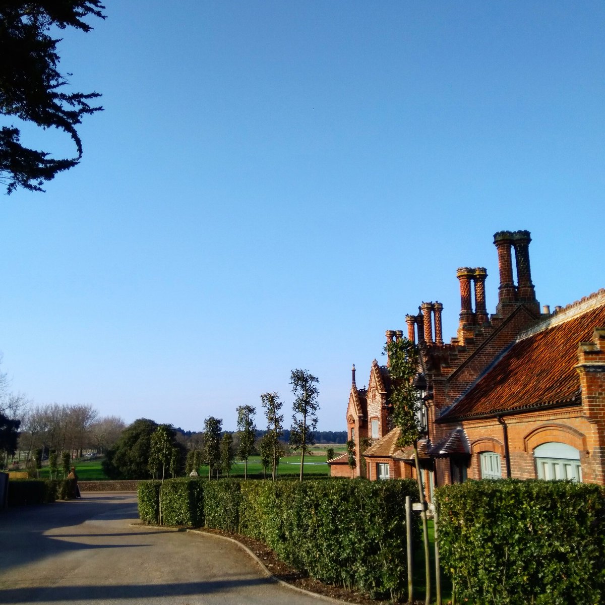 We are going to see more blue skies this week - Yay!!!
#holkham #blueskies #northnorfolk #norfolk #mondaymotivation #myhappyplace #thehappynow #niptonorthnorfolk #mynorfolk #flintcottage