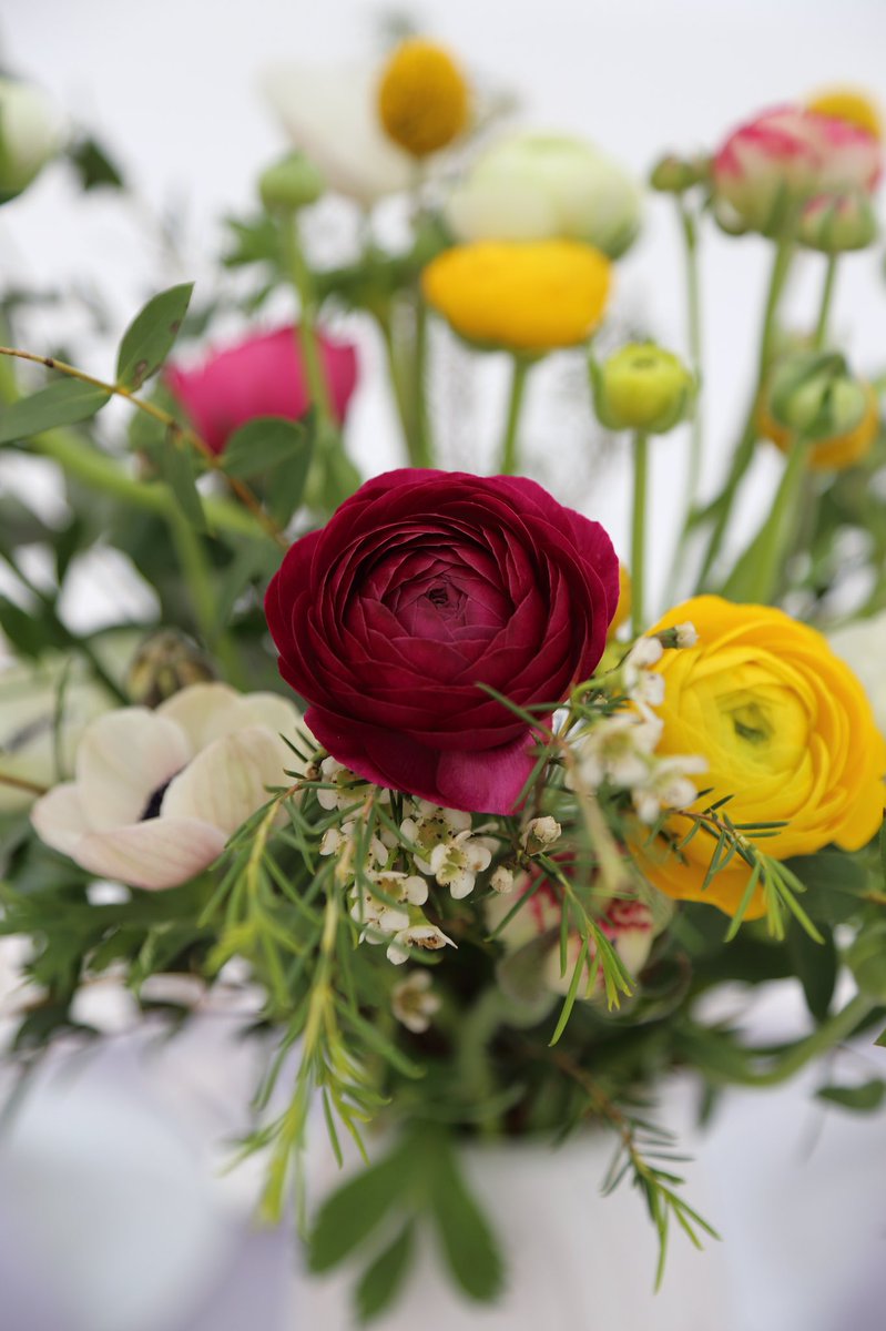 Our Pretty Wedding tweet media