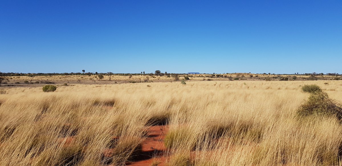 We’re excited to announce that the prize for our Anita Moon award for Best Student Designer will be a two week designer in residency stay at the magical Curtin Springs in the Northern Territory 🌾 For more information, head to the awards page on our website 🍃