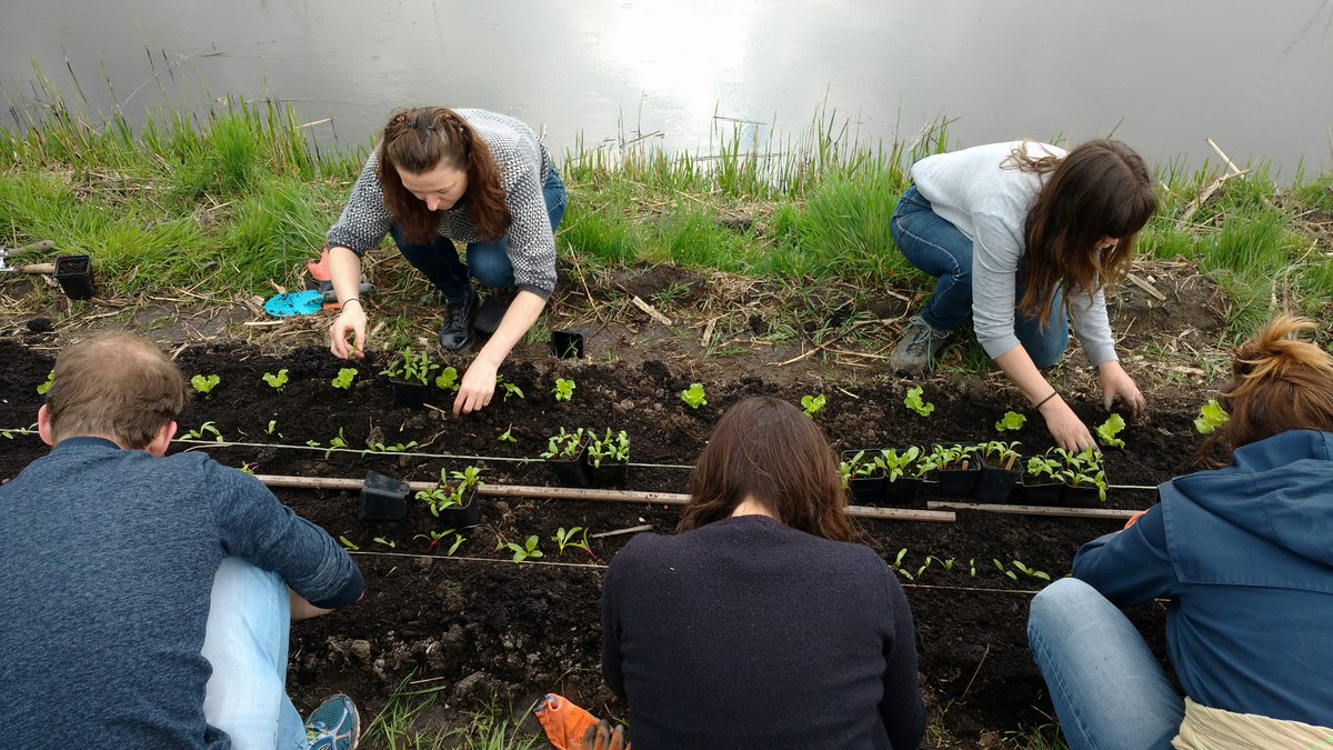 Cityplot's tweet photo. Get Down Get Dirty Cursus Moestuinieren in de Stad! Zaden, kiemplantjes en planten  #plukcsa #cityplot #growingediblecities #GrowYourOwn https://t.co/698j90pe4M