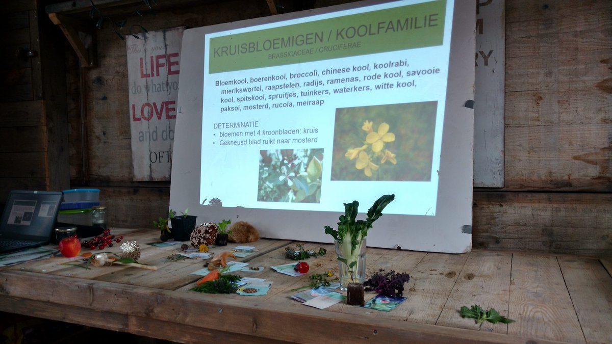 Cityplot's tweet photo. Get Down Get Dirty Cursus Moestuinieren in de Stad! Zaden, kiemplantjes en planten  #plukcsa #cityplot #growingediblecities #GrowYourOwn https://t.co/698j90pe4M