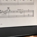 なぜハープにだけ…ｗオーケストラの中で何故か課せられる謎の無茶ぶりｗ