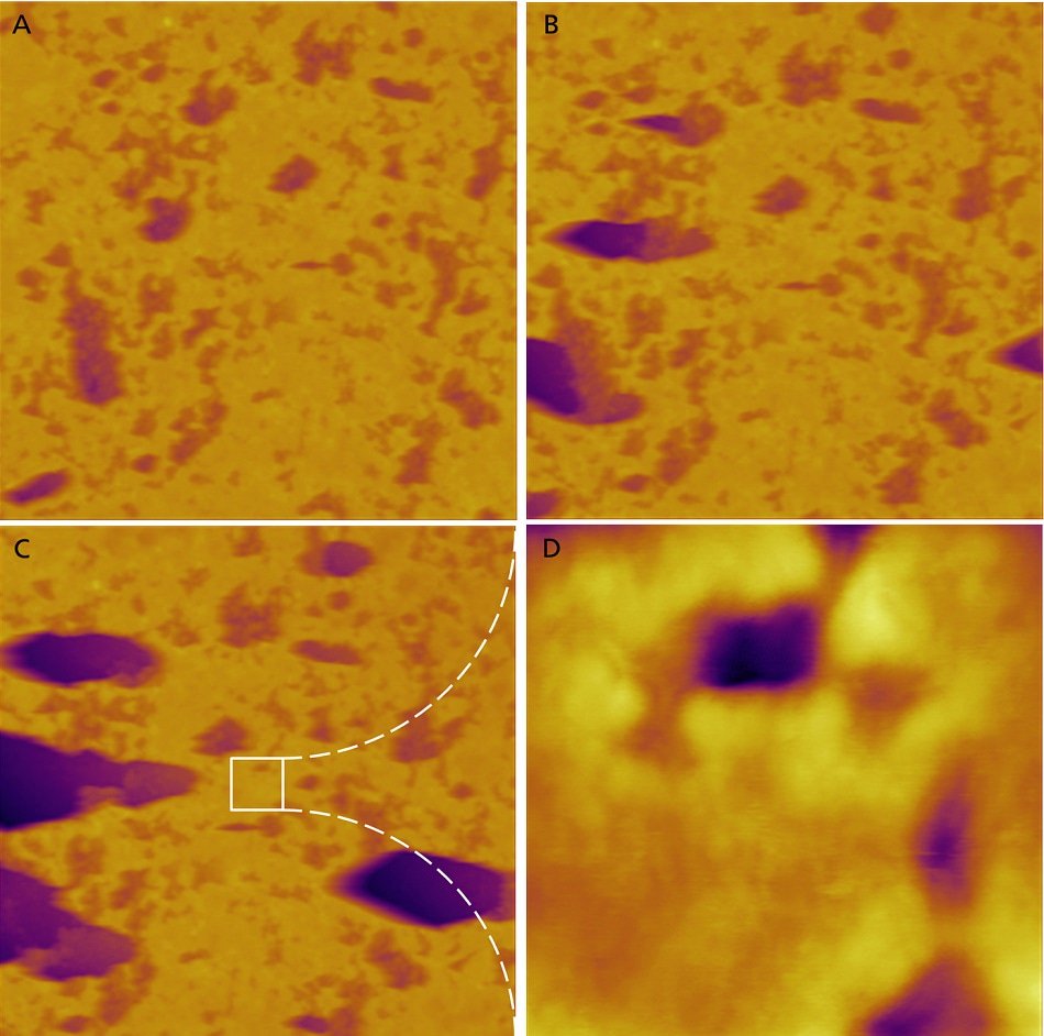 organic nanomaterials synthesis characterization and device applications