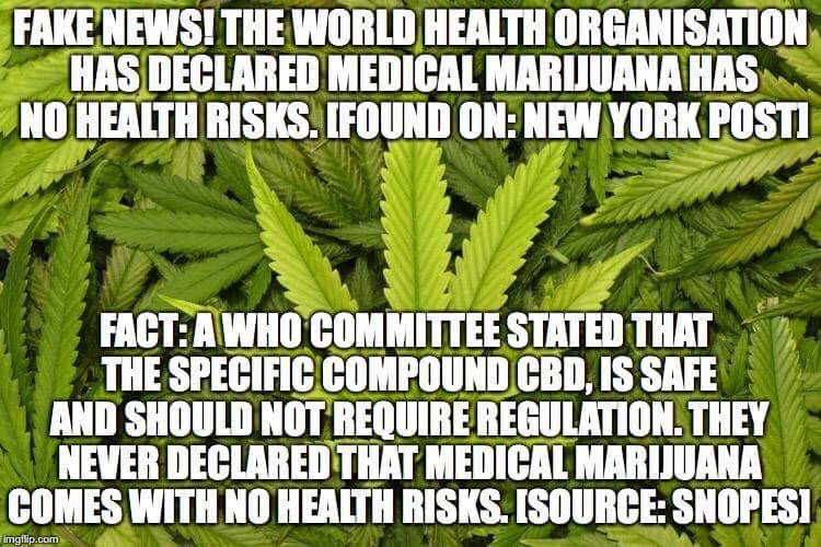 FakeNewsTF's tweet photo. Stay safe kids and be sceptical of articles produced even in newspapers such as the New York Post. The truth is distorted in this example.🍁 #FakeNewsTaskForce https://t.co/2sG2R0rRH8