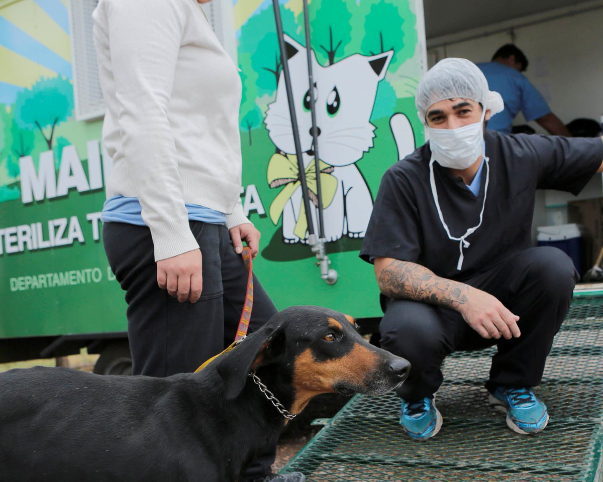 MaipuMunicipio's tweet image. 🐕🐈 El Móvil de Castración ya se encuentra en #Coquimbito
🕚 #Horario de lunes a viernes de 7:30 a 9:00 hs. por orden de llegada
✴️ del 16 al 26 de Abril 
📍Barrio Amupe I - Fundación Color Esperanza
🤔 ¿Cómo llegar? goo.gl/maps/zbdw6dMWd…

#CuidáATuMascota 🐱 🐶