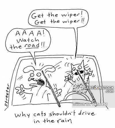 Stay dry and safe everyone. Stay off the roads if the weather is bad.