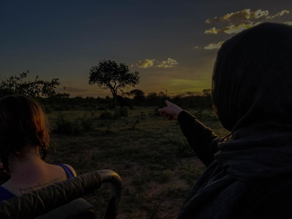 African_Impact's tweet photo. "What I learned from my overnight camp trip in the reserve is that wild animals deserve the utmost respect...Definitely a once in a lifetime experience!"
- Anisah Kabli, Big 5 volunteer
#Conservation #AfricanBig5
📷Rami Aldhobhani https://t.co/yRIqiHfWz5