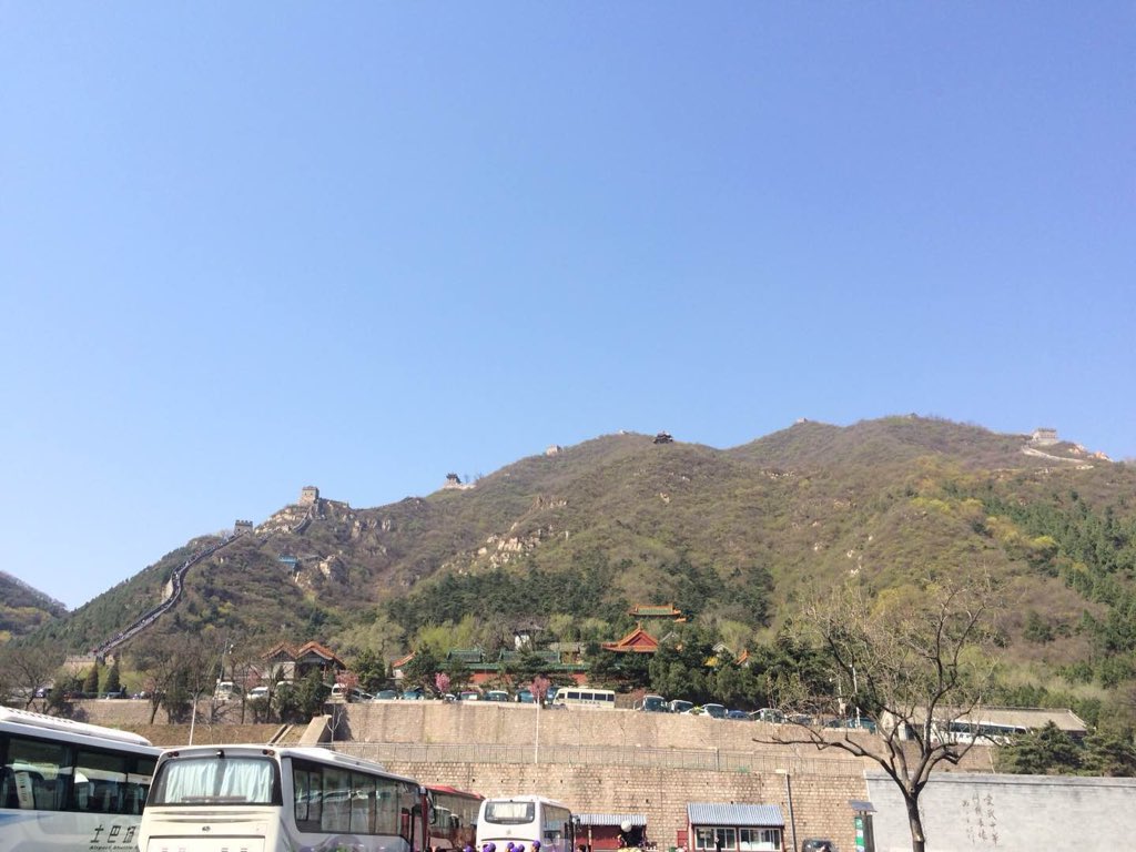 Kate Dimoulas tweet media