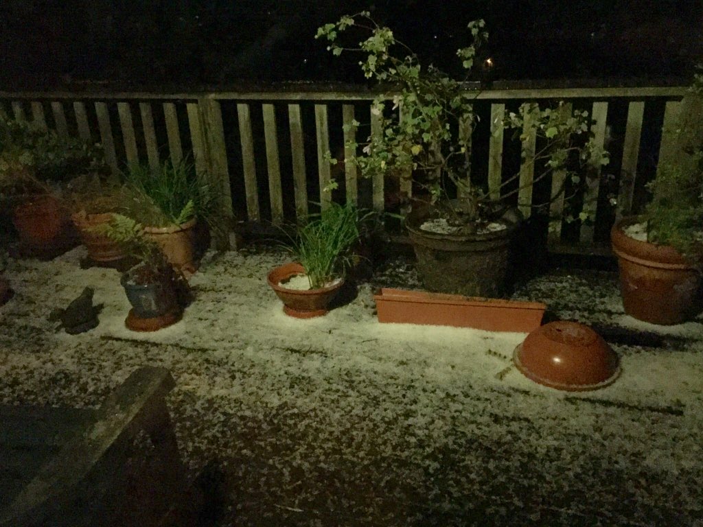 CrookedEmJ's tweet photo. @SPaulsonKTVU GM. My porch in Mill Valley at 2am! Still a good amt left around &amp; in potted plants. Crazy April showers! https://t.co/u36eCQgS8A