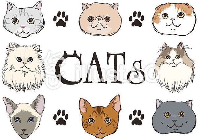 エキゾチックのtwitterイラスト検索結果 古い順