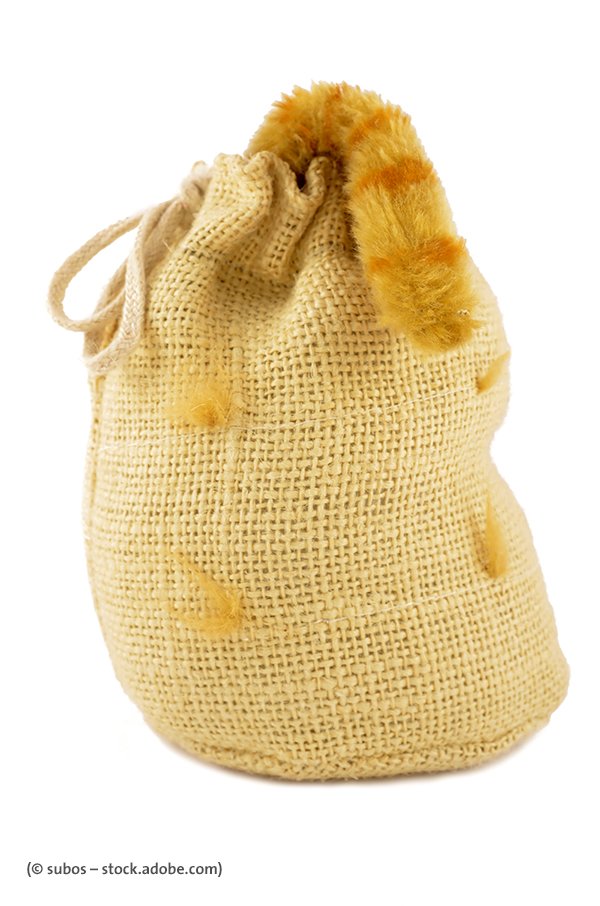 Beim Immobilienerwerb sollten Sie wirklich nicht die Katze im Sack  kaufen. Lassen Sie sich beim Haus- oder Wohnungskauf von einem  Bauexperts Sachverständigen Vor-Ort beraten! 
 bauexperts.de/beratung/kaufb…