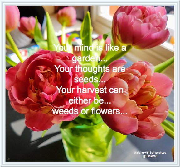 wildonrocket's tweet image. 