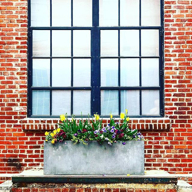 raleighwhatsup's tweet photo. | DURHAM | strolling American Tobacco campus yesterday. #americantobaccocampus #durhamnc #downtowndurham #bullcity #springindurham #americantobaccoapartments https://t.co/s6IBW9fHaN https://t.co/Bjwxp7Gsbl