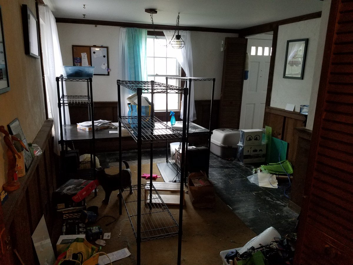 Our office was a weird 1970's-esque dining room before we bought the house, and as such, it has some dirty, weird, textured walls. They're thoroughly awful. Today we murder them.