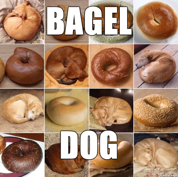 chrisbachsego's tweet photo. You tell me 😂👌🏻💯 https://t.co/WODvHnU66q