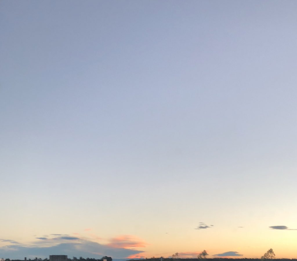 laurenloulol's tweet image. dusk, you say?