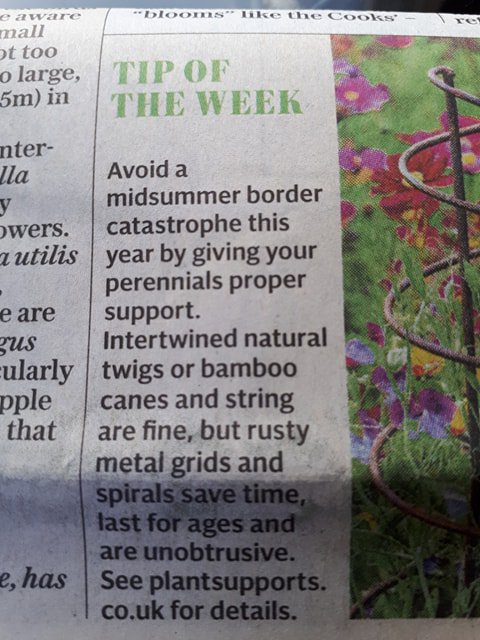 UkSupports's tweet photo. Wow, another great recommendation for our plant suppports, this time from the Telegraph @TeleGardening #plantsupports #gardening #gardeners #PlantsAreCool #britishmade https://t.co/kLEMjCWg06