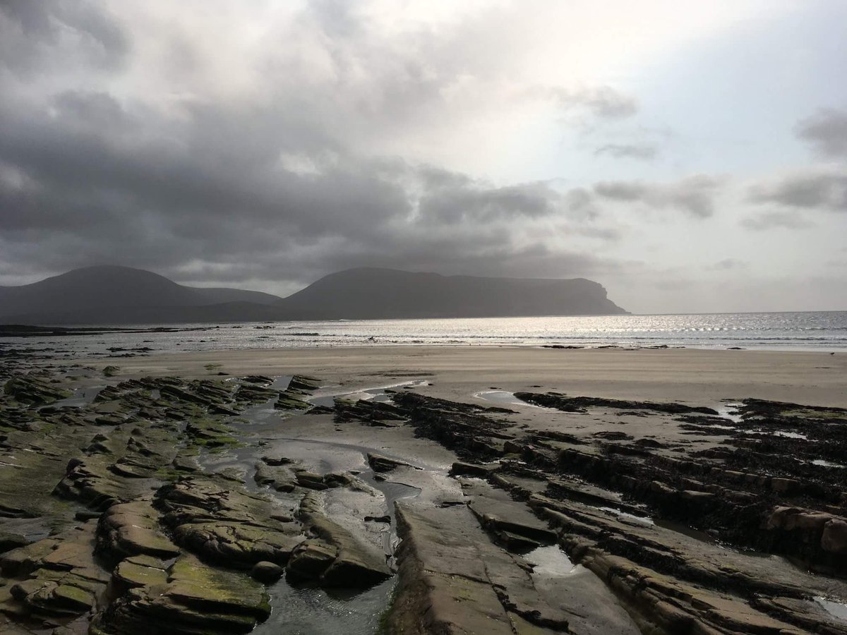 Cathryn Quick tweet media