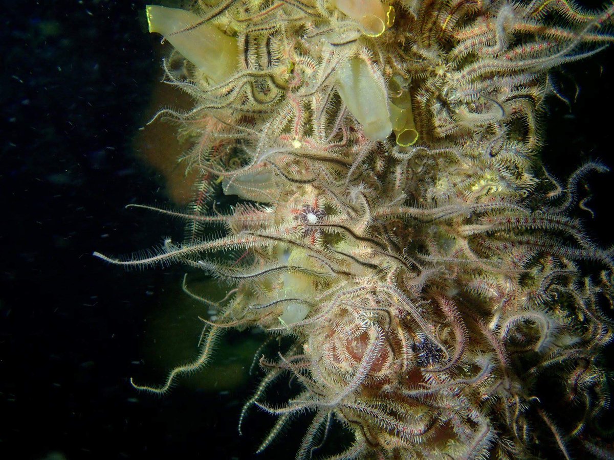 Cathryn Quick tweet media