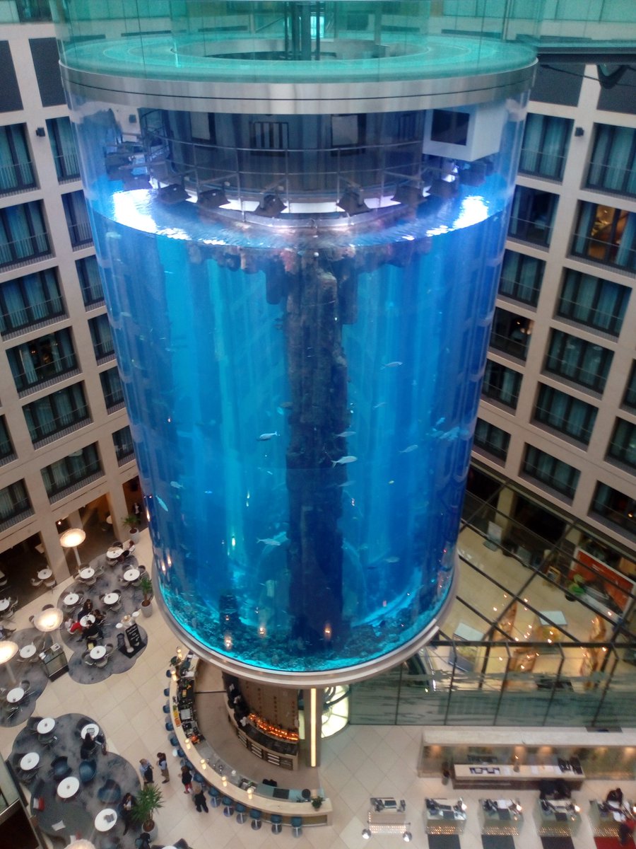 julia_ayuso's tweet image. Celebrating WELL in the most biophilic hotel #WELLroundtable #WELLinBerlin #wearewell @CBRE_ES @Greenbuild @rubengalceran #patriciafuertes