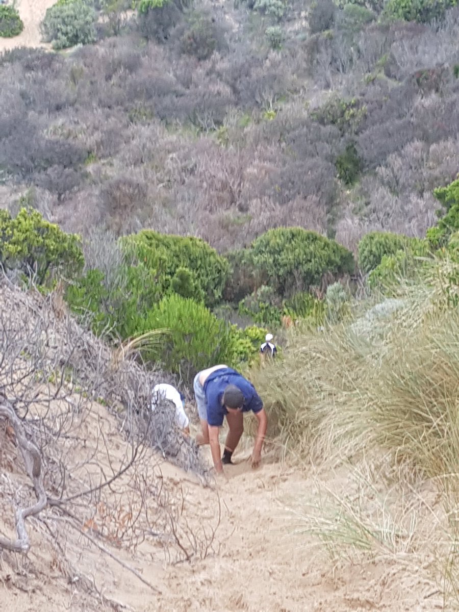 Great session on the Dunes with <a href="/VicInstSport/">Victorian Institute of Sport</a> athletes and @Golf_Vic State team @BenjaminWKing #130 #Alldoingit