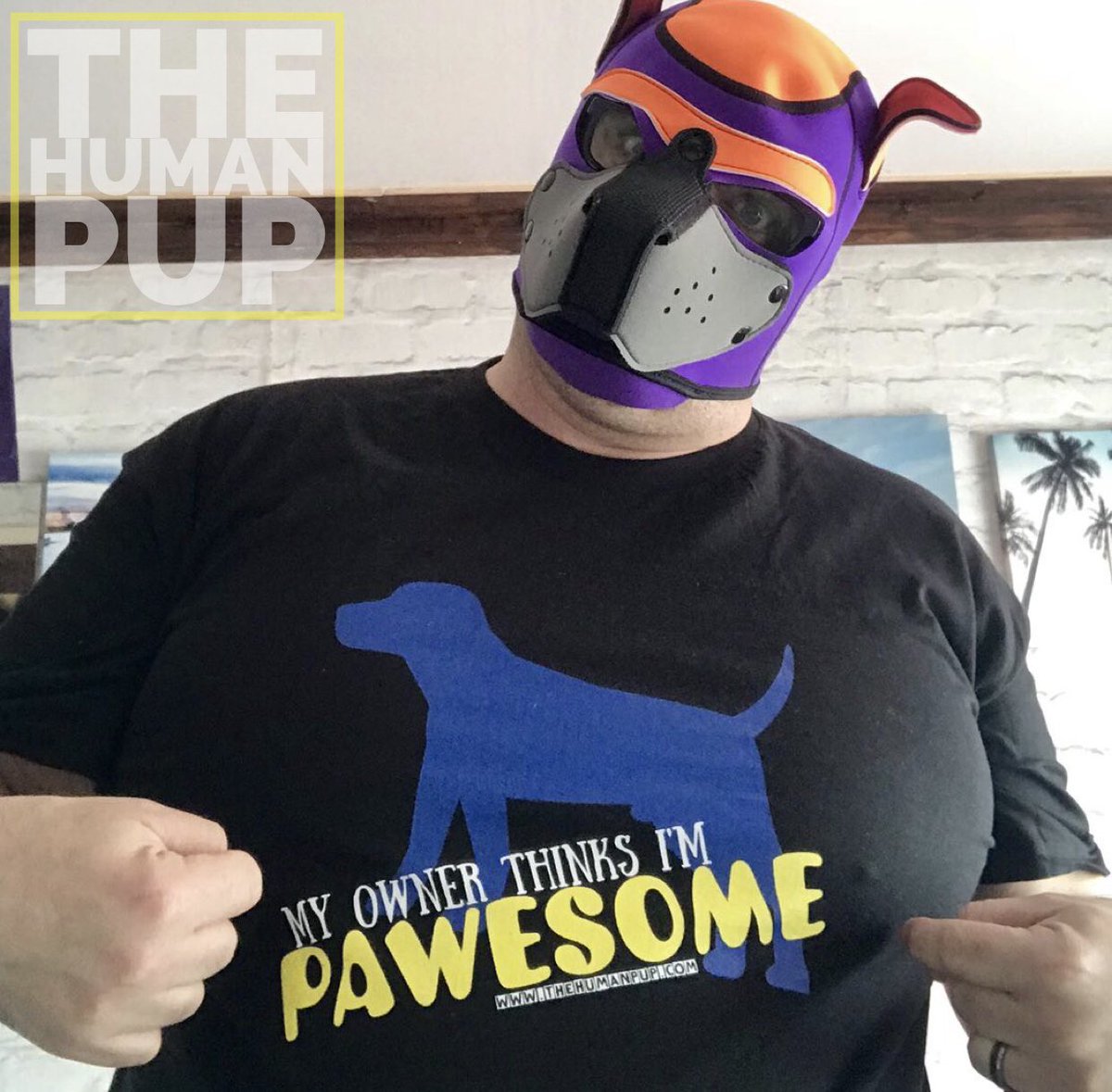 TheHumanPup's tweet photo. 🐾😍 Check out our member @BiskitPup rocking his new THP Merch!

Want to look this pawesome too? Check out our merch at https://t.co/GkNxKoiVXi 🐶
#thehumanpup https://t.co/X8nYEItBEi