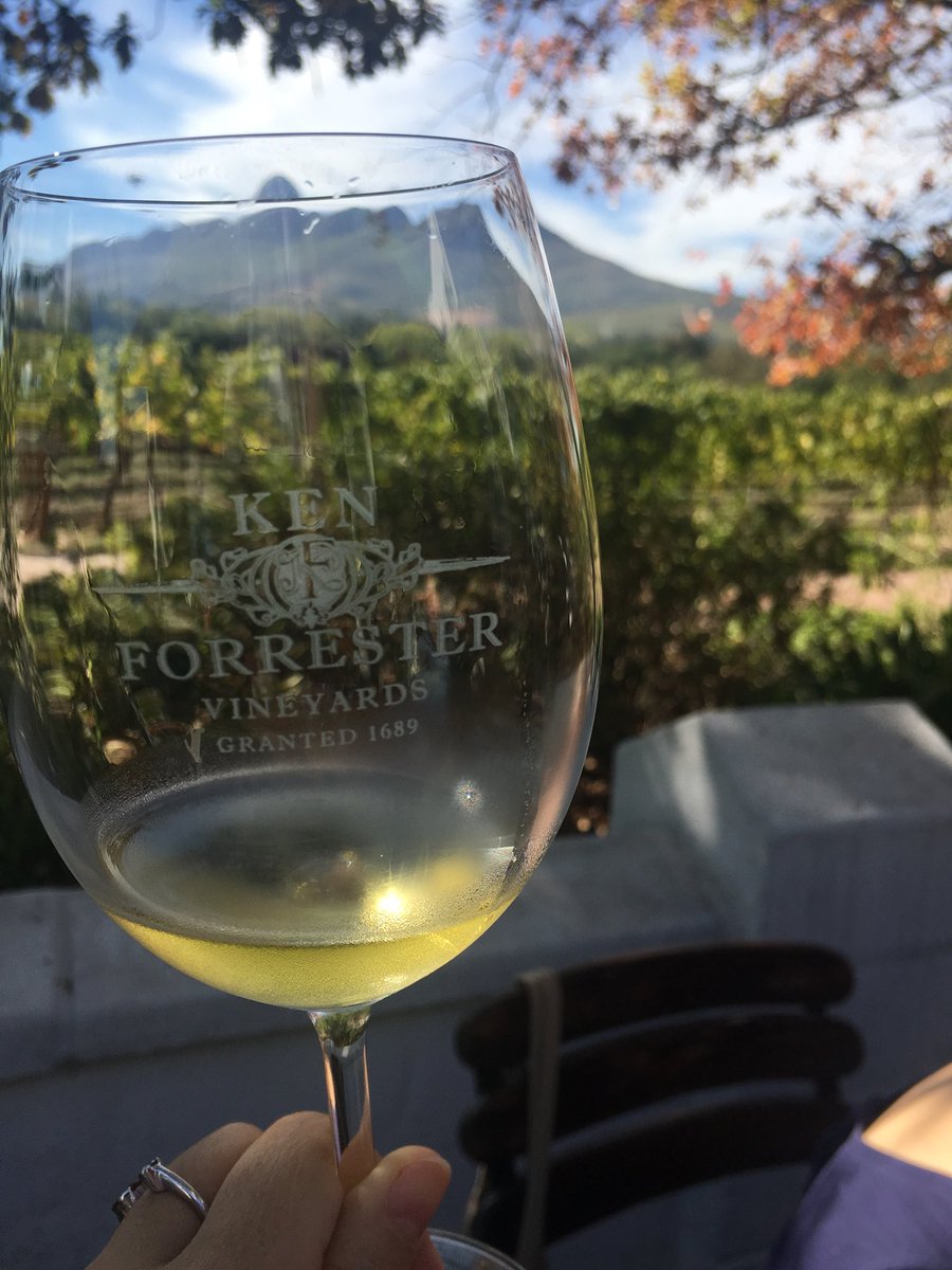 Sou_Chabada's tweet photo. Stellenbosch wineyards today tasting the #FuckingMarvellousChenin by Ken Forrester 🙏🤘🏻 https://t.co/SxaO4TO5Yq