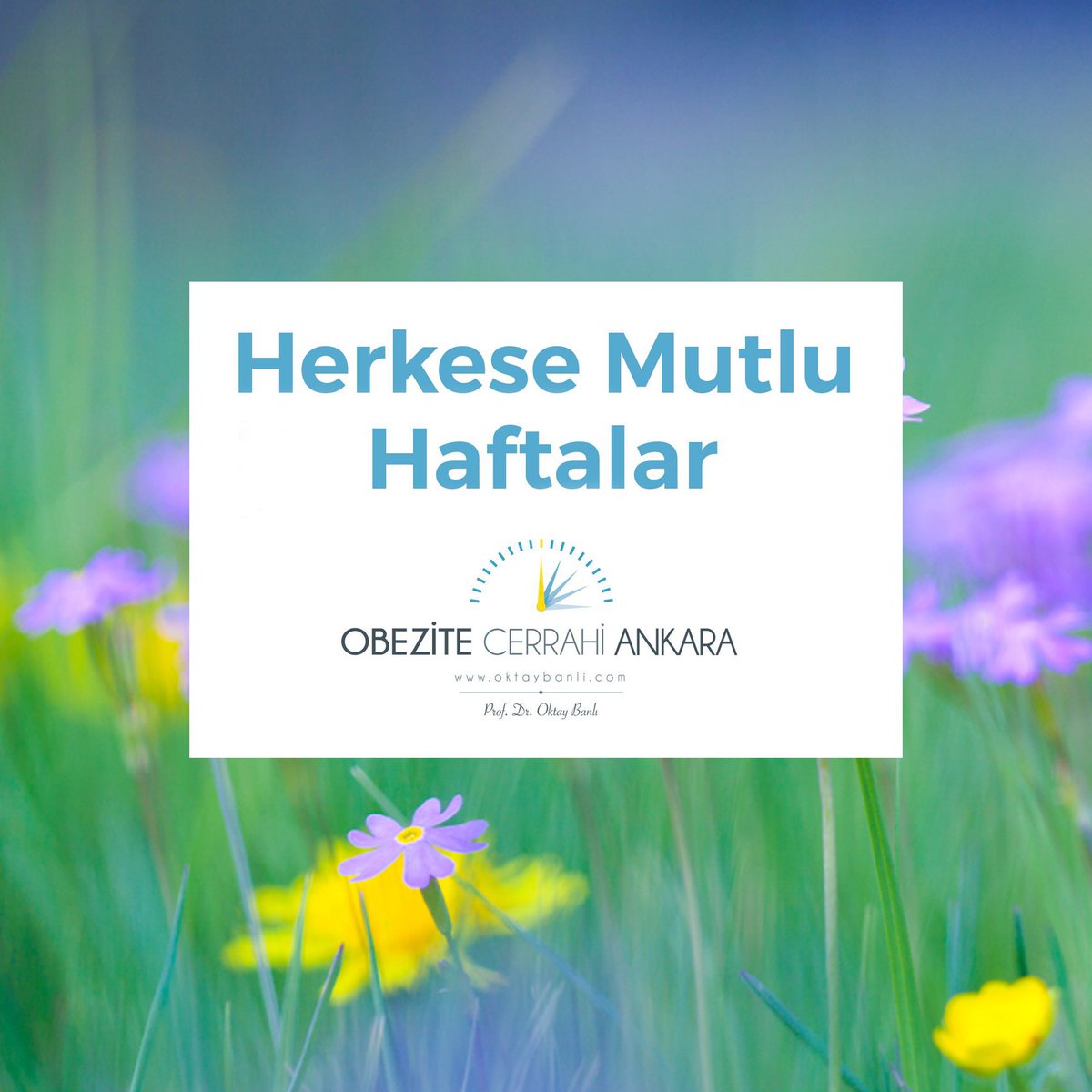 ObeziteCerrahiAnkara (@droktaybanli) on Twitter photo 