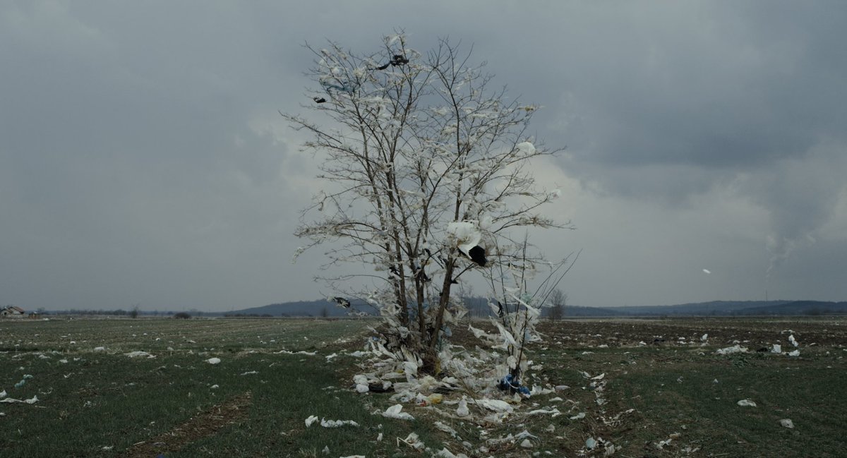 geo_movies's tweet photo. DEPTH TWO by Ognjen Glavonić screened today at 12AM at @visionsdureel in #Nyon for the focus #SERBIA.
In 2001 and 2002 more than 800 hundreds bodies were dug up in mass graves in the outskirts of #Belgrade, in Batajnica and Bajna Basta.
#VdR2018 #DepthTwo https://t.co/qd0k6oXISD