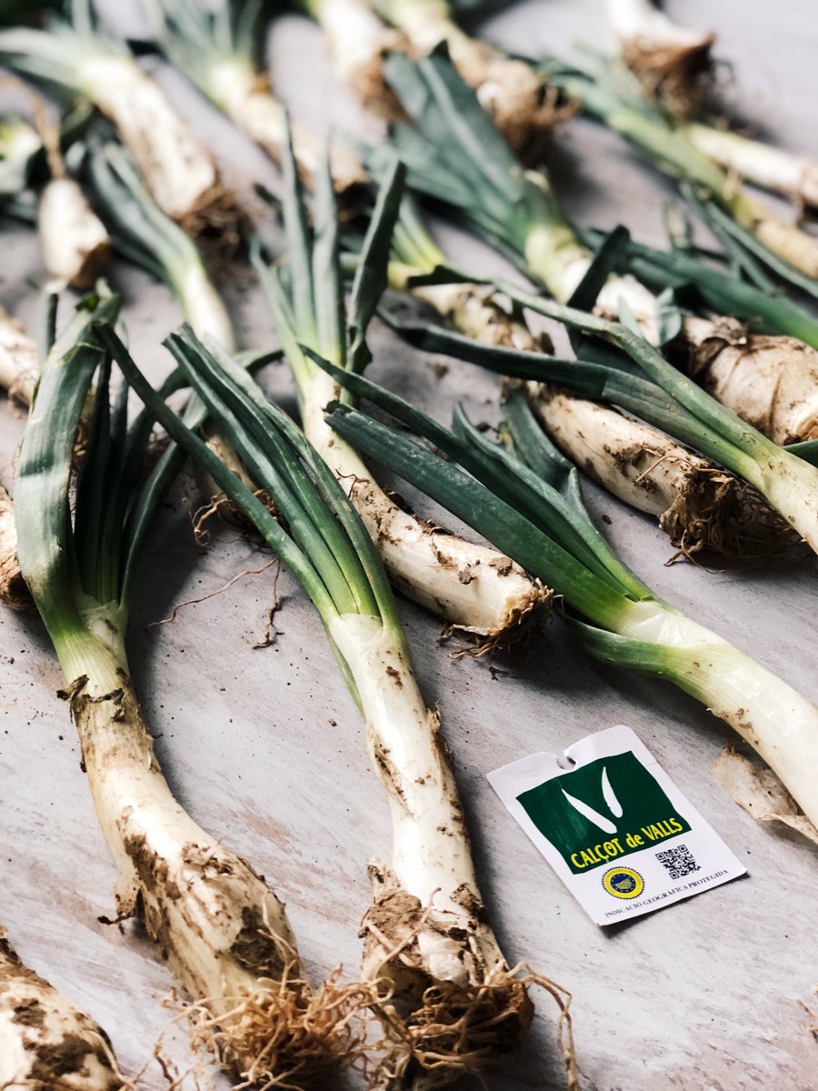 ¡Se acaban los calçots! Pídelos antes de mañana a las 22 horas y recíbelos el jueves (o tendrás que esperara hasta la próxima temporada) mumumio.com/tienda/calsots…
