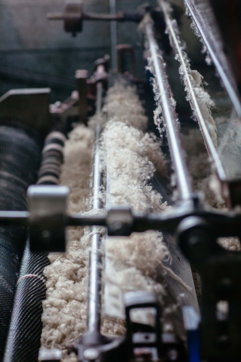RosieSugden's tweet photo. CARDING | This is the cashmere fibre starting to go through the feed rollers (left of picture), at the start of the carding process.
-
#rosiesugdencashmere #cashmereyarn #behindthescenes #productstory #cashmeremill #factorylife #zhinchliffe #millcolours #carding #cardingmachine https://t.co/fX6NOCQEF5