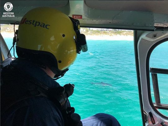 Would you know what to do if our #Westpaclifesaverheli hovered over the water and sounded its siren? Check out our coastal safety page here and make sure you would know how to respond - bit.ly/2H4LuRW