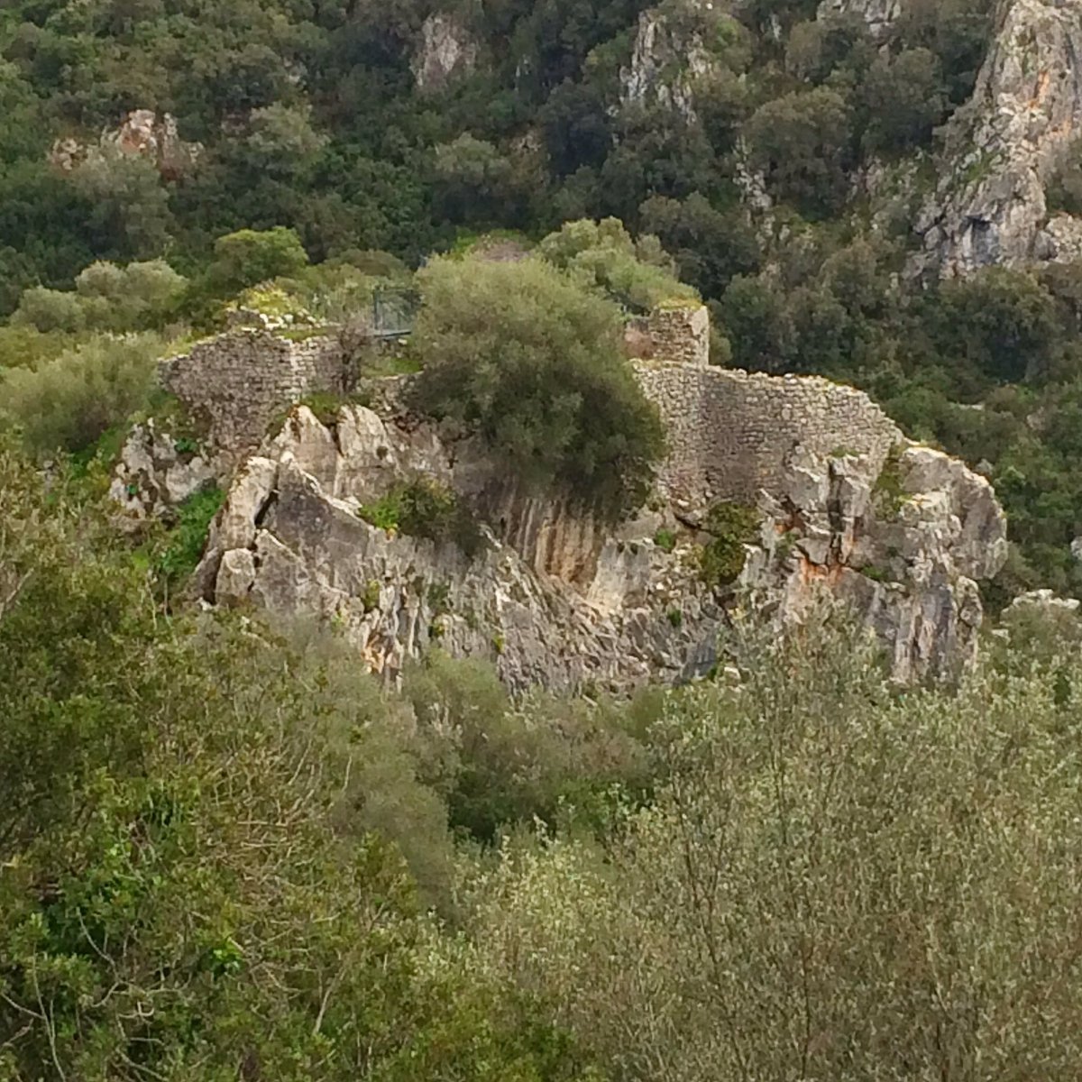 escursioni_sard's tweet photo. #castellodimedusa #castellodeldiavolo #samugheo #escursionisardegnasegreta # https://t.co/r9FGjaFj9i