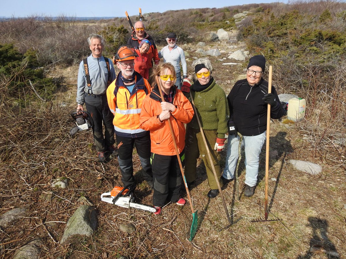 Oslofjf's tweet photo. Hyttenaboer trosset spisse slåpetorn, bjørnebær- og tornekratt og gjennomførte vegetasjonsrydding i #Moutmarka i #Færder nasjonalpark i helgen.
OF sender en stor takk til dugnadsgjengen som i en årrekke har utført rydding i området nord for Verdens Ende. https://t.co/iyU8cExQ6O