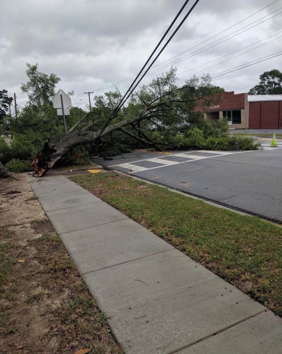 MaryKingTV's tweet photo. From @CityofCayce officials: "Due to Sunday's storms, there is a tree down on State Street across from @BCHSBearcats." They're encouraging ppl to find an alt. route such as Axtell Drive or 9th Avenue. If you have any non-emergency please report them to @Cayce_DPS at 794-0456. https://t.co/dxZ2YHfWwp
