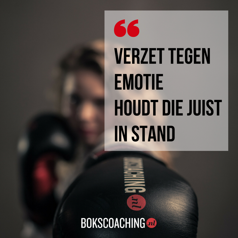 Beologie's tweet photo. In hoeverre zijn jouw ratio en emotie goed in balans?
https://t.co/APtb1XITfF https://t.co/Wi6Nl6r3qo
