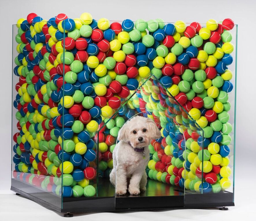 The_Blue_Cross's tweet photo. Less than two weeks to get your bids in for these fantastic bespoke designer BowWow Haus London dog kennels! Funds raised will help sick, injured and homeless pets! 
Bid now 👇
https://t.co/jiyeppEB8m https://t.co/EnFJMneOpX