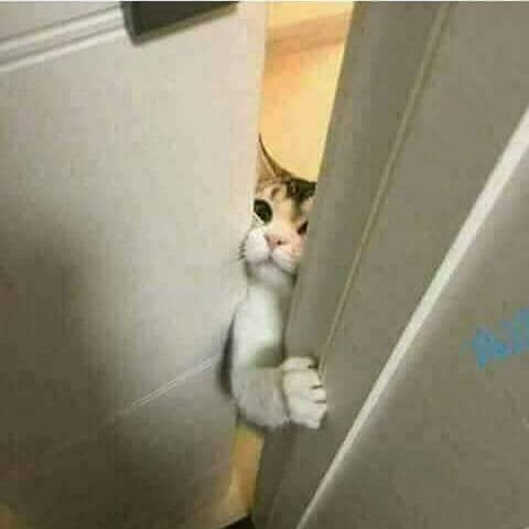 amgoda75's tweet photo. لما اسجل دخول فيسبوك ويقولي كلمة المرور خطأ
=أفتح يامارك أنا أمجد ....😂😂😂
#amgad https://t.co/cXb8S9qnSJ