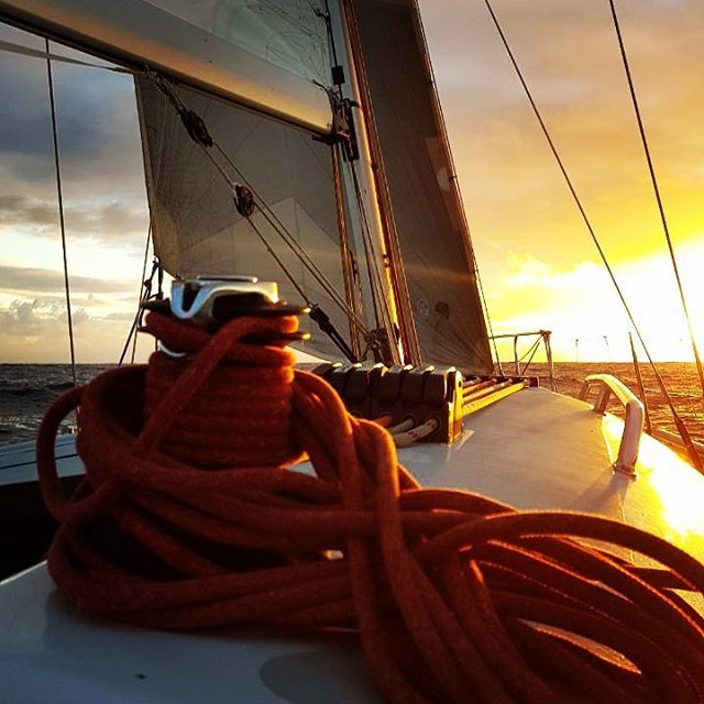 NorWesterSails's tweet photo. Route to paradise

#norwestersails
#nwsails 
#syblackswan
#sailing 
#vacation
#sea
#sail
#sailingweek 
#sailingweekend
#sailingboat
#sailingpassion 
#sailingdog 
#sailingboats 
#sailingyachts 
#sailingholidays 
#sailingteam 
#sailingaway 
#sailingphoto 
… https://t.co/A2efozLmgR https://t.co/LINhlXMBUP