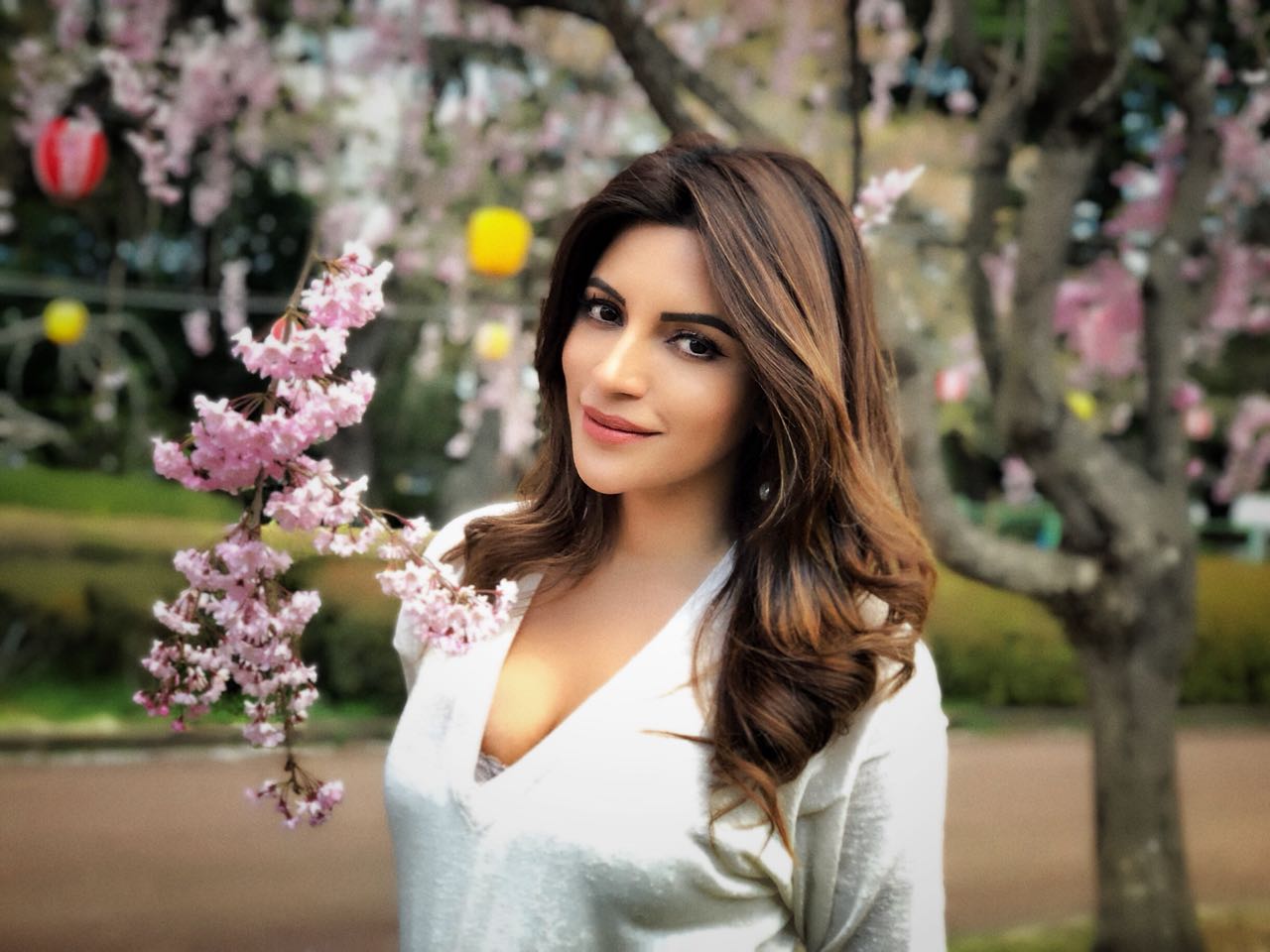 Shama sikander Wallpapers Download  MobCup