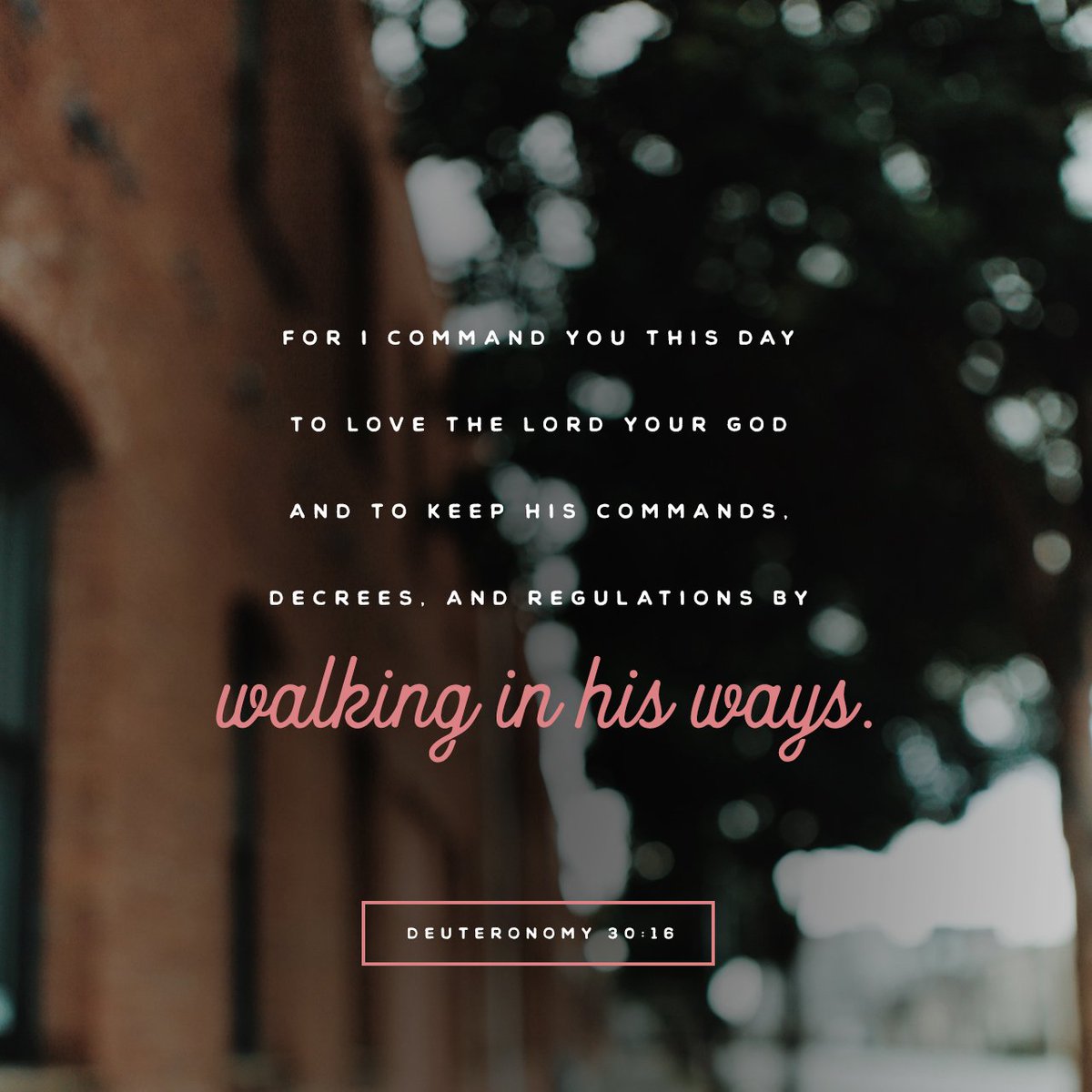 Daily_Bible tweet picture