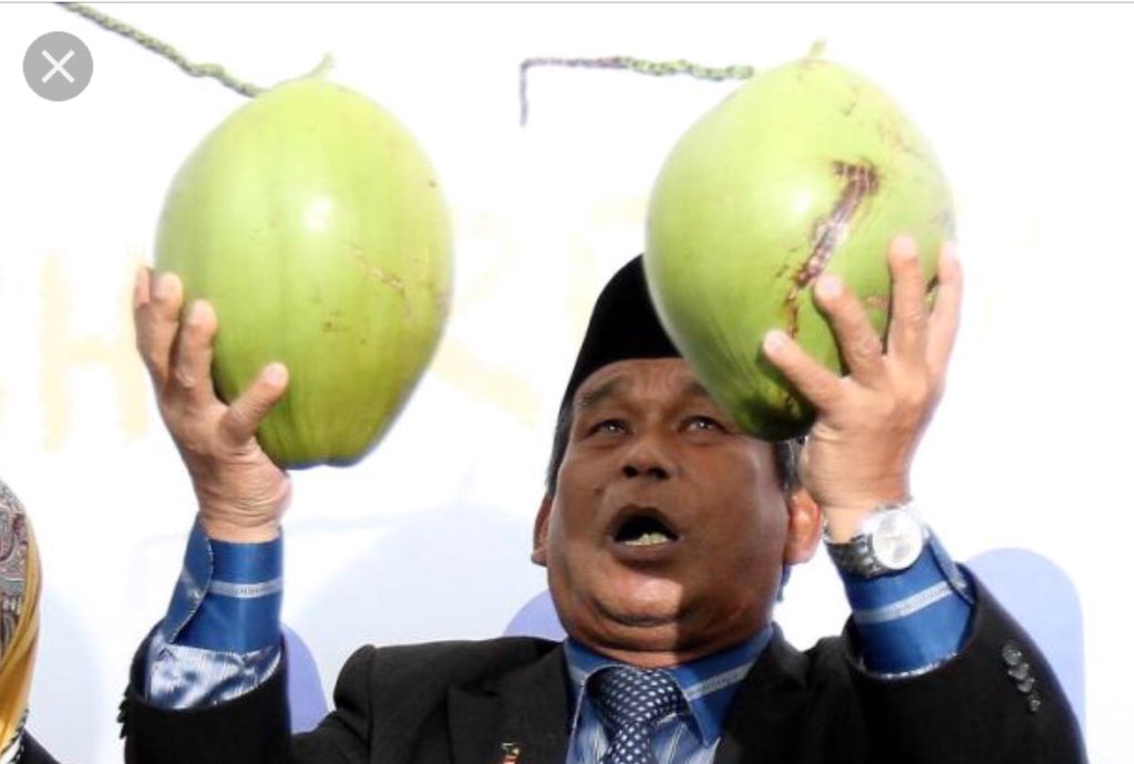 Remember this coconut ? 
Yes, Raja Bomoh "Datuk" Ibrahim Mat Zin will be announcing his candidacy @ M Roof Hotel in Ipoh tomorrow afternoon. If this is not apocalypse, I don’t know what it is. #GE14 #MalaysiaMemilih