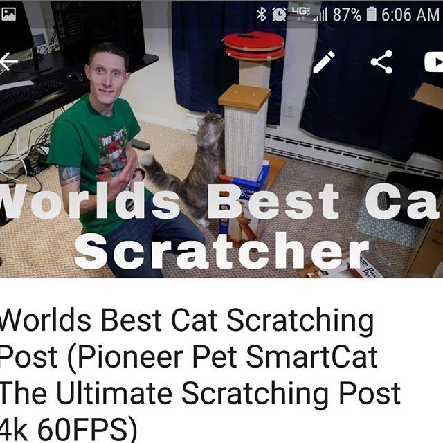 PizzlesTechTime's tweet photo. New channel Pizzles Cat Time definitely check it out! #PizzlesTechTech #PizzlesCatTime  #YouTuber #smallcreator https://t.co/jLD73BZcVv https://t.co/WPvmgA0zCp