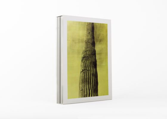 IndiePhotobooks's tweet photo. Desert by Jungjin Lee. Co-published by Radius Books. https://t.co/khXoSZBUaj https://t.co/InNQJywFPZ