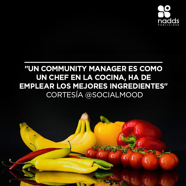 NADDSPUBLICIDAD's tweet photo. ¿Estás de acuerdo? #NaddsPublicidad https://t.co/pop5E7JdUa