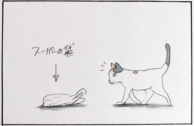 『パニック』 